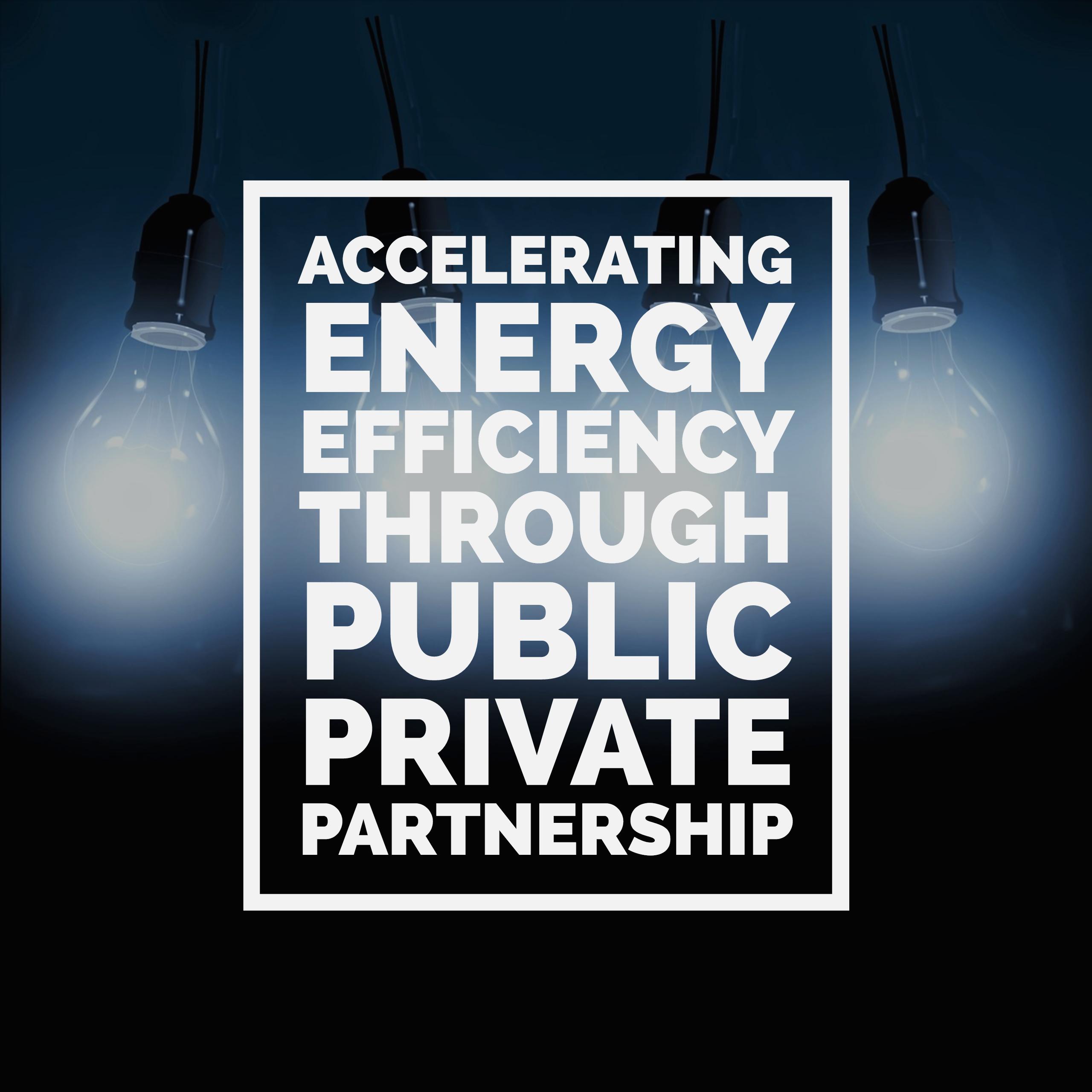 Accelerating Energy Efficiency through Public Private Partnership